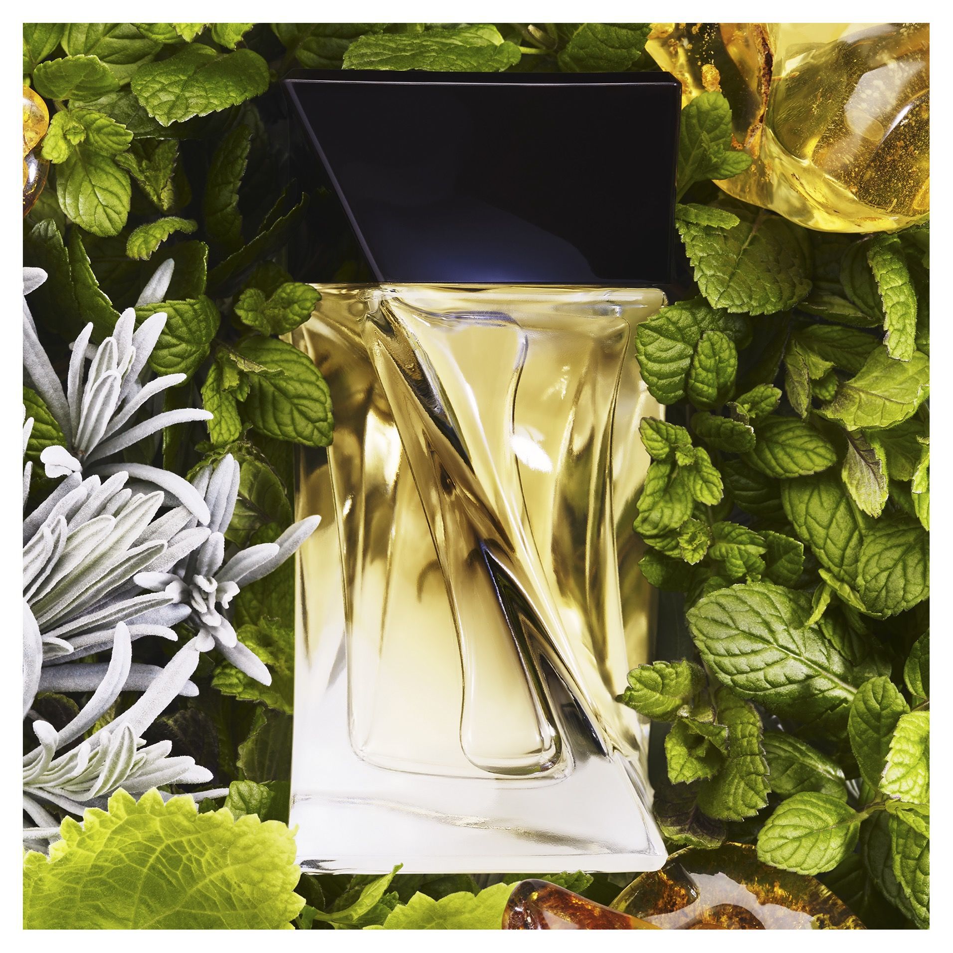 Hypnose Homme L'Eau de Toilette