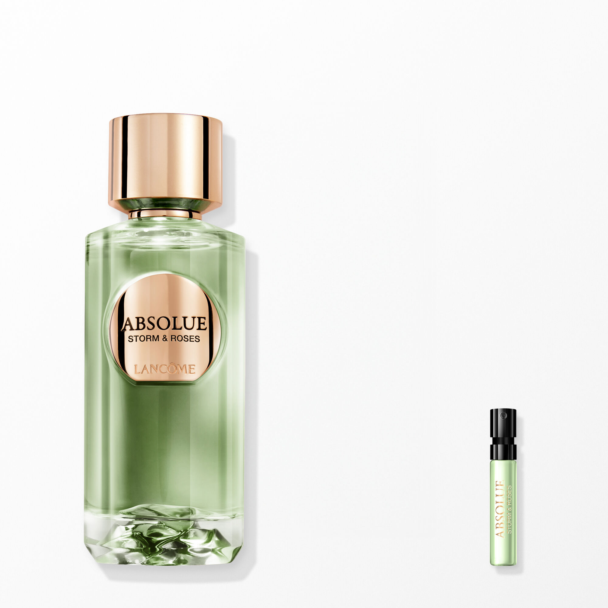 NEW 압솔뤼 스톰 앤 로즈