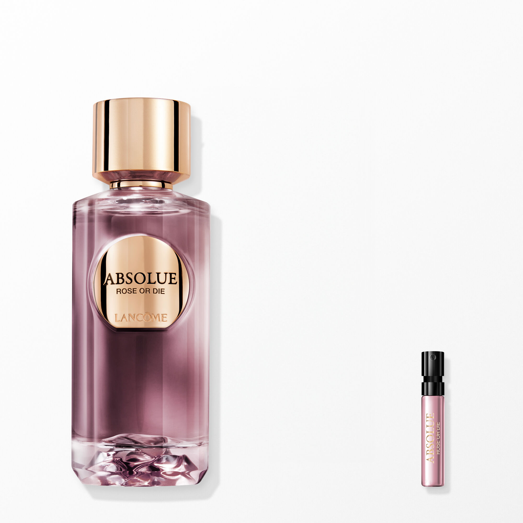 NEW 압솔뤼 로즈 올 다이