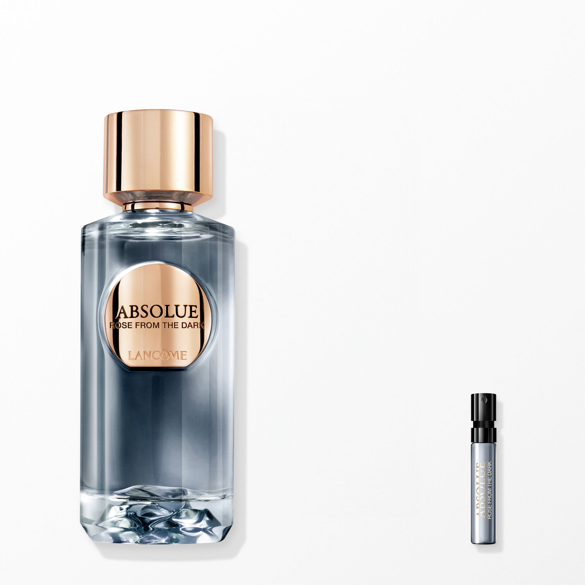 NEW 압솔뤼 로즈 프롬 더 다크