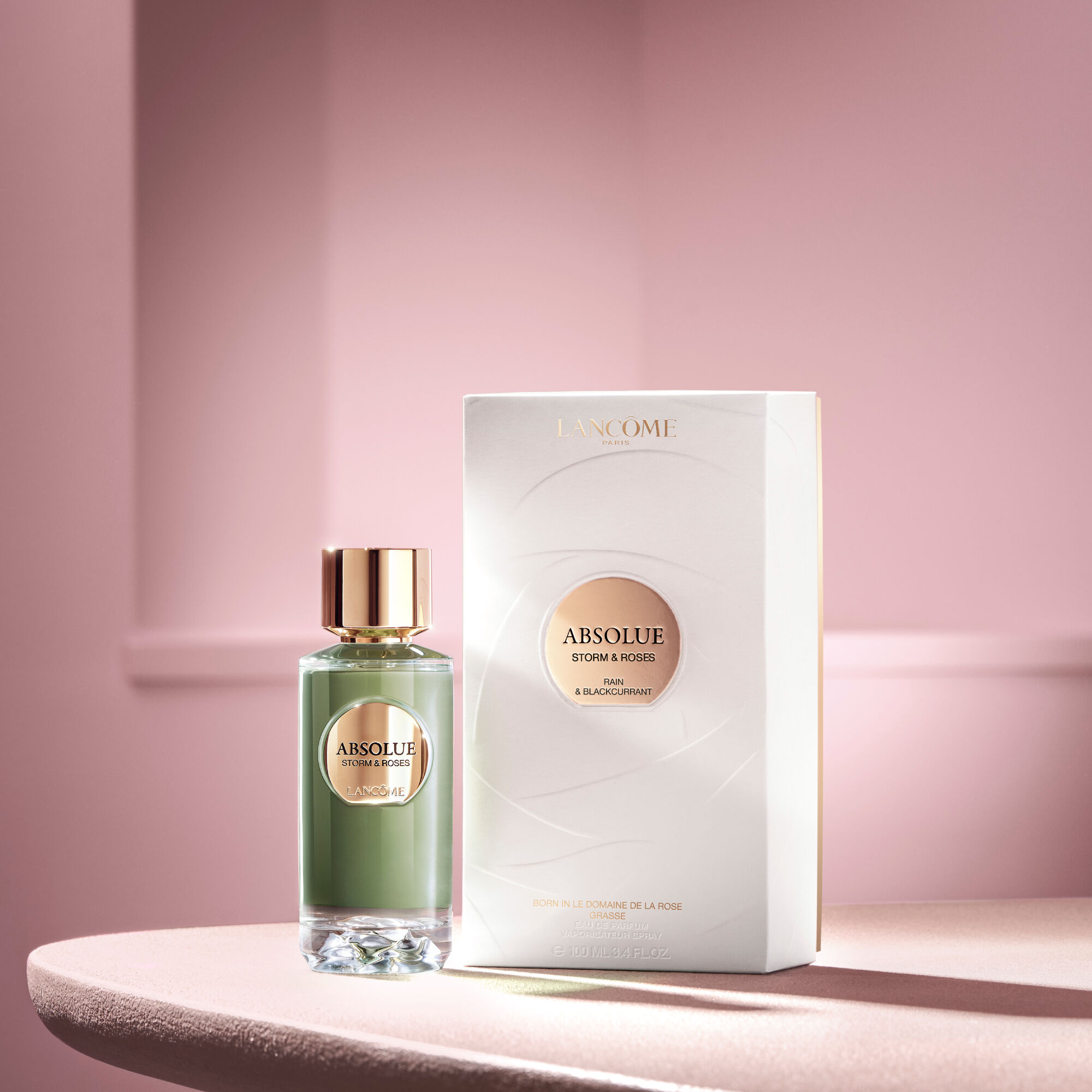 NEW 압솔뤼 스톰 앤 로즈