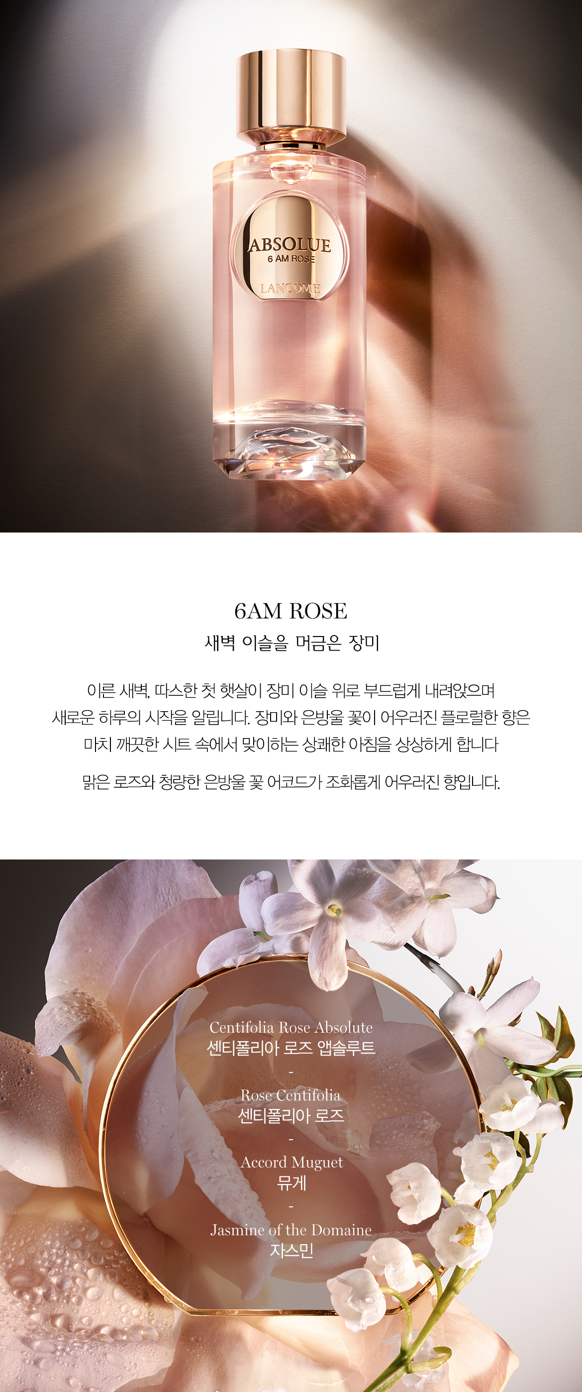 압솔뤼 르 퍼퓸 이미지